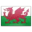 Welsh flag